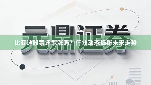 比亚迪股票还能涨吗？行业动态揭秘未来走势