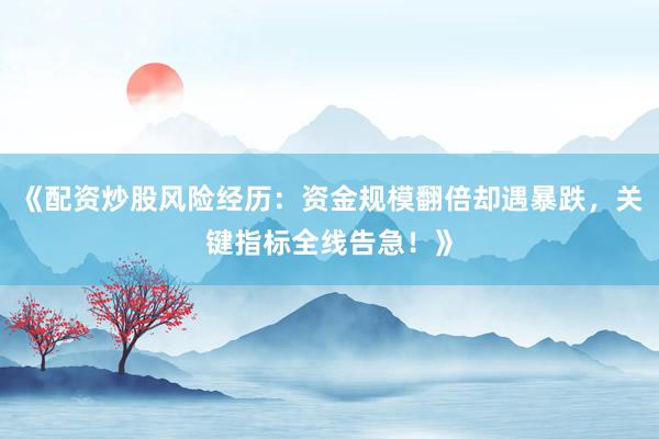 《配资炒股风险经历：资金规模翻倍却遇暴跌，关键指标全线告急！》