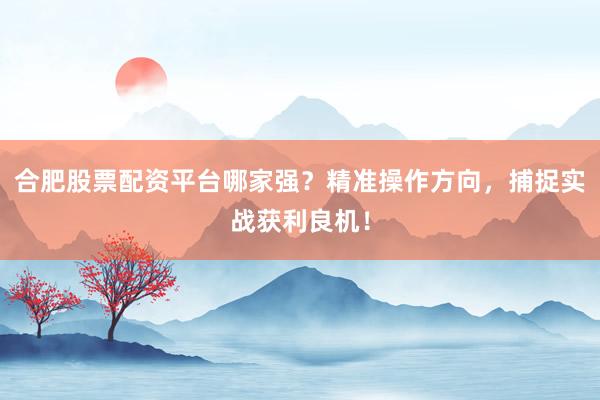 合肥股票配资平台哪家强？精准操作方向，捕捉实战获利良机！