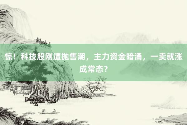 惊！科技股刚遭抛售潮，主力资金暗涌，一卖就涨成常态？