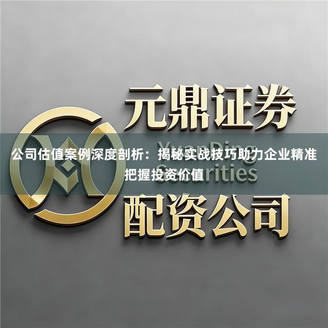 公司估值案例深度剖析：揭秘实战技巧助力企业精准把握投资价值