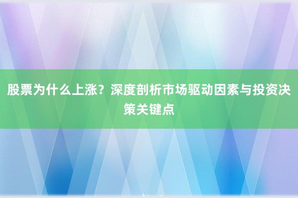 股票为什么上涨？深度剖析市场驱动因素与投资决策关键点